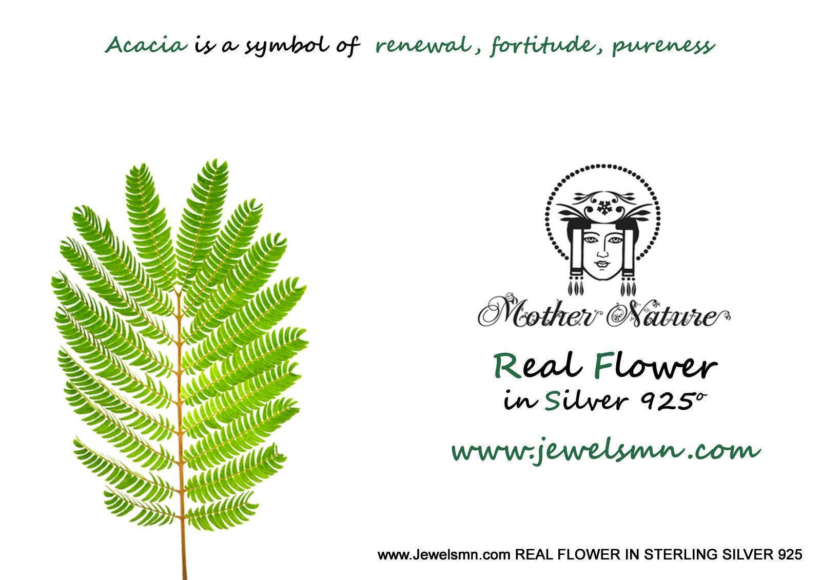 Twig Hoop Earrings, Gold-Plated Brass and Black Rhodium (Handmade Mimosa Branch)